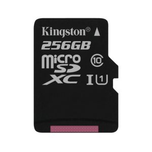 Kingston 256GB SD Kort - Image 1